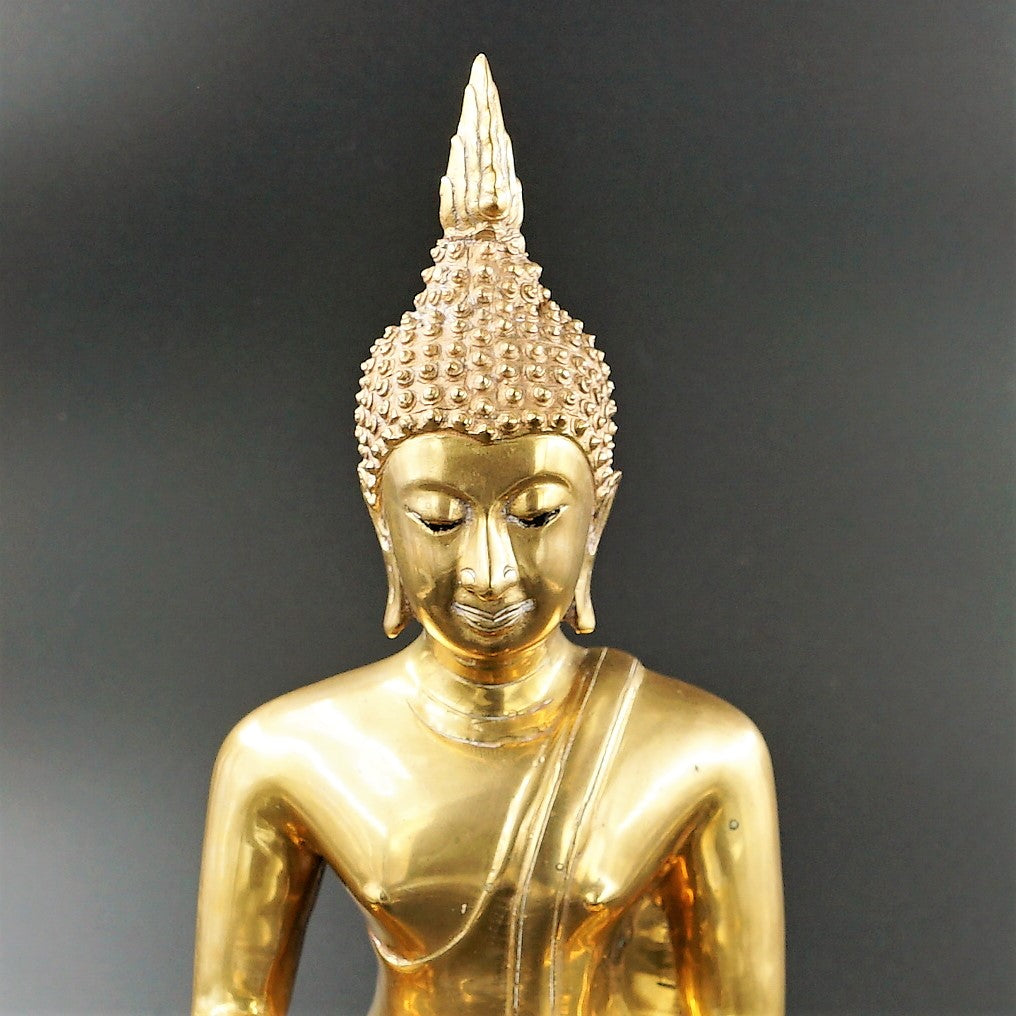 Buddha Shakyamuni